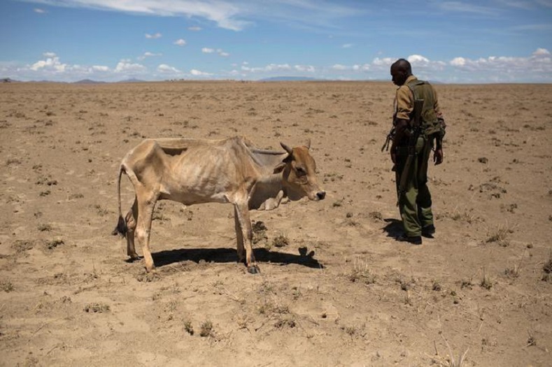 Registering as the worst drought since 2011, Kenya’s extremely dry temperatures affected 370,000 children with reports of desperate women turning to prostitution to support their families.
