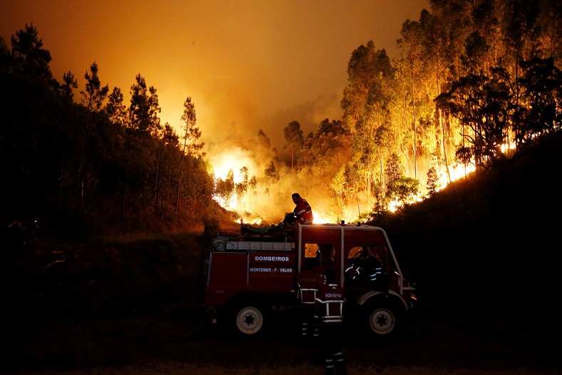 Spain and Portugal experienced some of the worst fires in their history, while in California wildfires killed at least 40 people. Spanish authorities said they suspected many of the fires were due to arson.