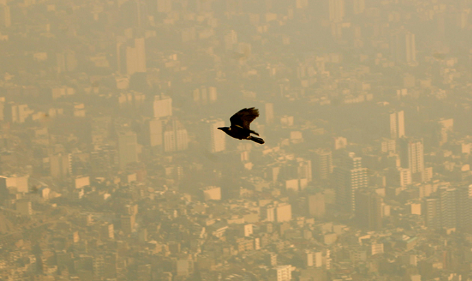 A bird flies through the polluted sky of Tehran, Jan. 25, 2007.