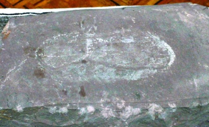 Oldest petrified footprint returned to Bolivia