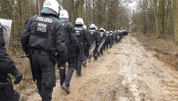 German police enter the Hambach forest. 