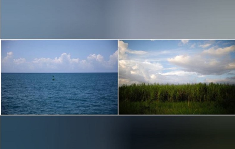 Two views: one from the Naval base, a buoy bouncing in the Caribbean waves. The second pictures a sugar cane field just outside the city of Guantanamo, Cuba.