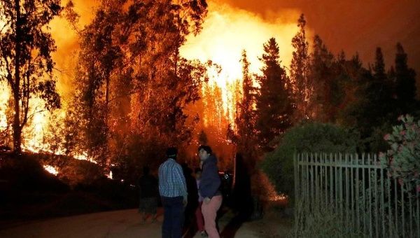 Trees on fire are seen near a house in the town of Hualane, on the outskirts of the Curico city, south Chile, January 21, 2017.