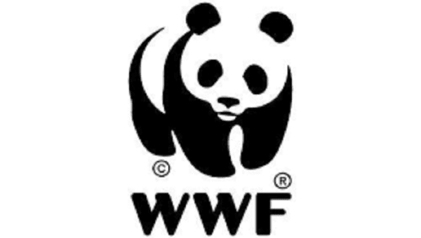 Founded in Switzerland in 1961, WWF International and its national branches work in six distinct but intertwined areas: wildlife, oceans, forests, freshwater, food and climate change/energy.