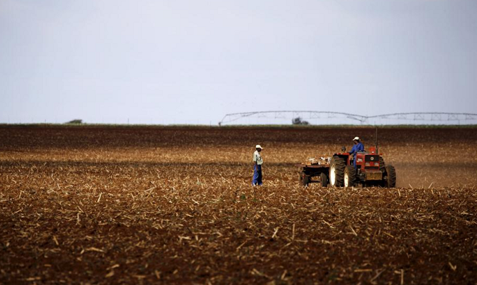 Farmers work on a land outside Lichtenburg, a maize-growing area in the North West province of South Africa.