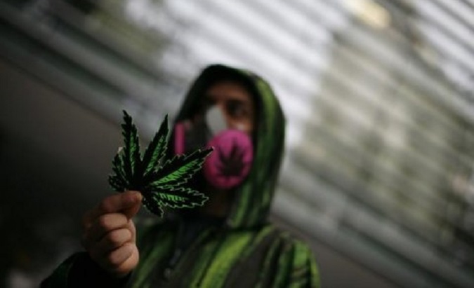 A protester shows a fake marijuana leaf during a march for the legalization of marijuana in Mexico City.