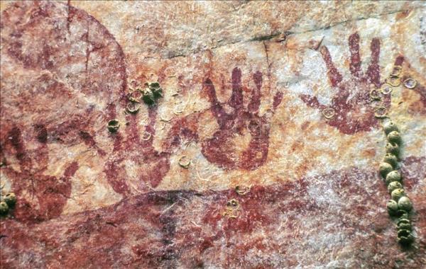 Images of hand cave paintings in Colombia's Serrania del Chiribiquete national park which just doubled in size and was named a Unesco world heritage site.