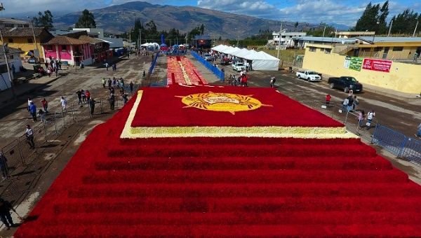 A view shows a floral pyramid of more than 500,000 roses, which scored the Guinness World Record in Tabacundo, Ecuador.