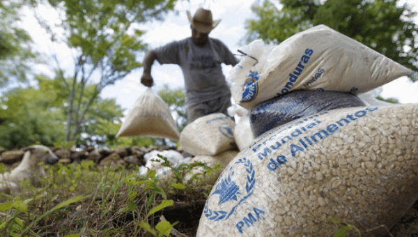 A farmer moves bags of provisions, donated by the United Nations World Food Programme (WFP), during a distributing of food aid to families affected by the drought in the village of Orocuina, August 28, 2014. 