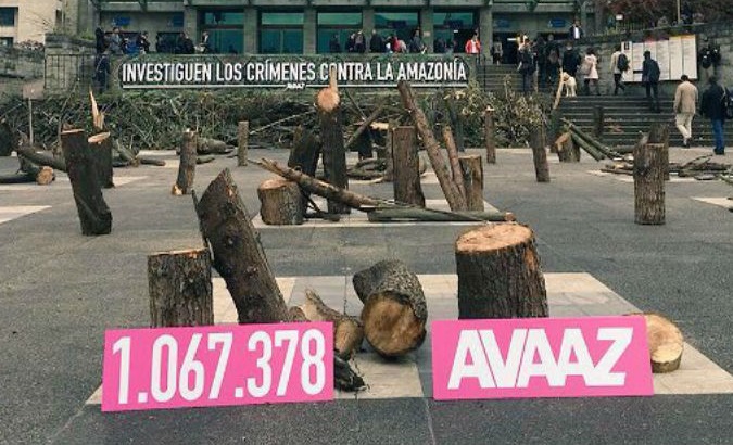 Over a million citizens have signed the petition by members of the NGO Avaaz against environmental crimes.