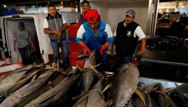 A worker checks the quality of Mexican tuna displayed at a fish market in Mexico City, Mexico, May 18, 2017.