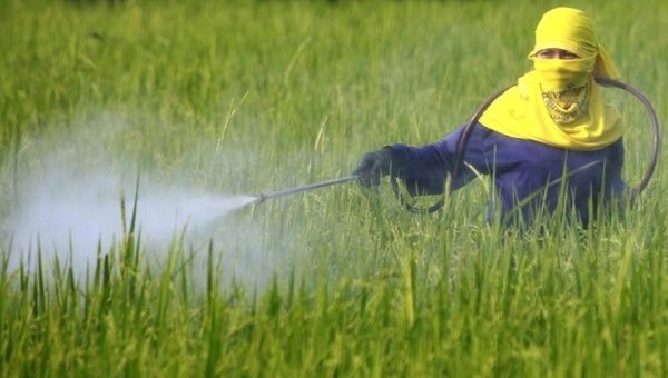 Field worker spraying a field with chemicals.