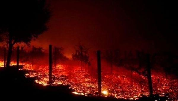The California fires top the list of costliest disasters of 2018.