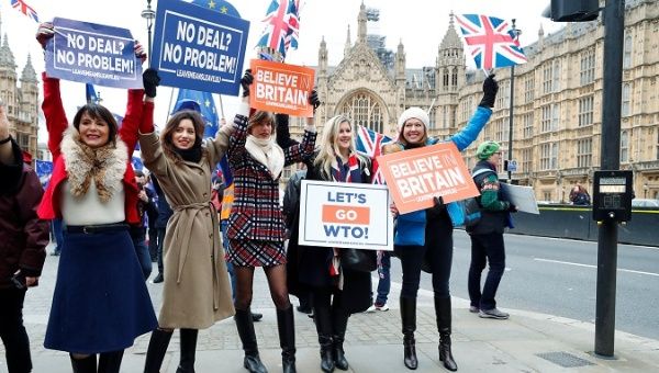 Pro-Brexit protesters demonstrate outside the Houses of Parliament in London, Britain, Jan. 15, 2019. 