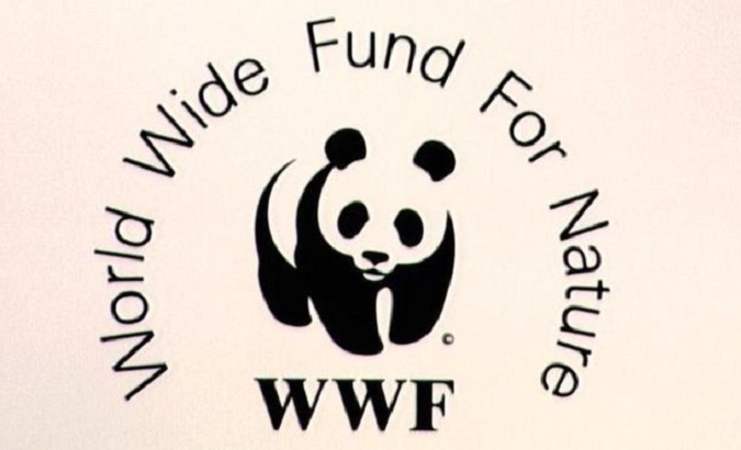 WWF fell under the public eye after accused of funding and arming paramilitary forces by Buzzfeed Monday.