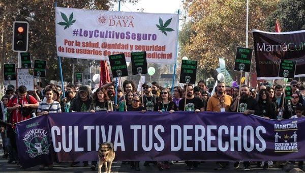 The Cultivate Your Rights March for the legalization of self-grown cannabis in Santiago.