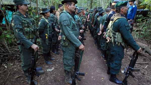 FARC soldiers are seen standing in formation. File Photo 09/21/2016.