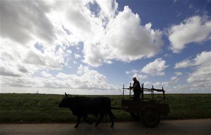A Cuban farmer rides a cart pulled by oxen near the village of Artemisa, some 80 km (50 miles) west of Havana February 6, 2010.