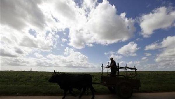 A Cuban farmer rides a cart pulled by oxen near the village of Artemisa, some 80 km (50 miles) west of Havana February 6, 2010. 