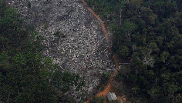 An aerial view of a deforested plot of the Amazon at the Bom Futuro National Forest in Porto Velho, Rondonia State, Brazil, Sept. 3, 2015. 
