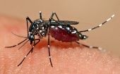 En la Mayor de las Antillas solo se han registrado mil casos de contagio de Dengue sin ninguna víctima fatal en lo que va de 2019. 