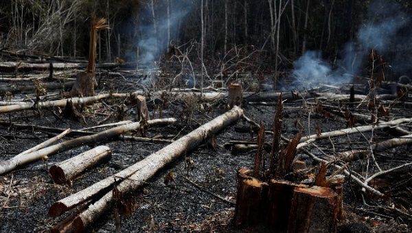 A tract of Amazon jungle burns in Novo Airao, Amazonas state, Brazil August 21, 2019.