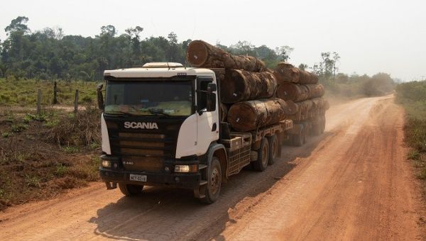 Truck transports wood extracted from the Amazon rainforest, Porto Velho, Brazil, August 29, 2019.