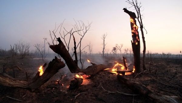 Fire burns at the Guarani Nation Ecological Conservation Area Nembi Guasu, where wildfires have destroyed hectares of forest, in the Charagua region, Bolivia, August 29, 2019.