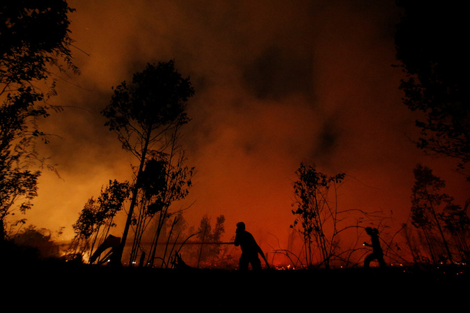 Firefighters try to extinguish forest fires at Sebangau National Park area in Palangka Raya, Central Kalimantan province, Indonesia, September 14, 2019.