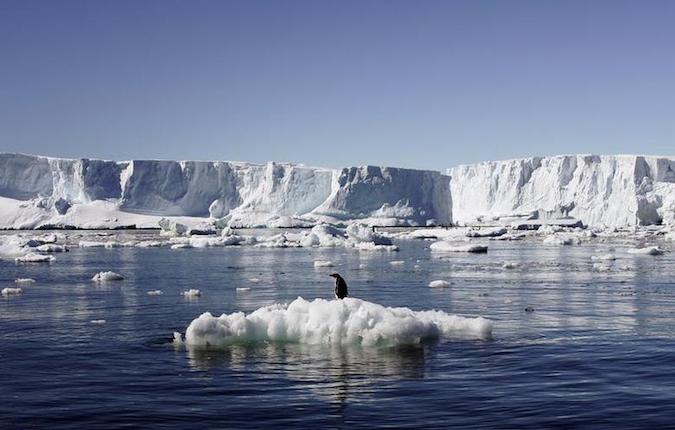 An Adelie penguin stands atop a block of melting ice near the French station at Dumont d’Urville in East Antarctica January 23, 2010.