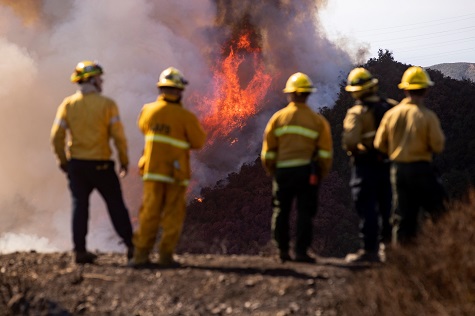 Across the state in Los Angeles, the Getty Fire had charred more than 202 hectares.