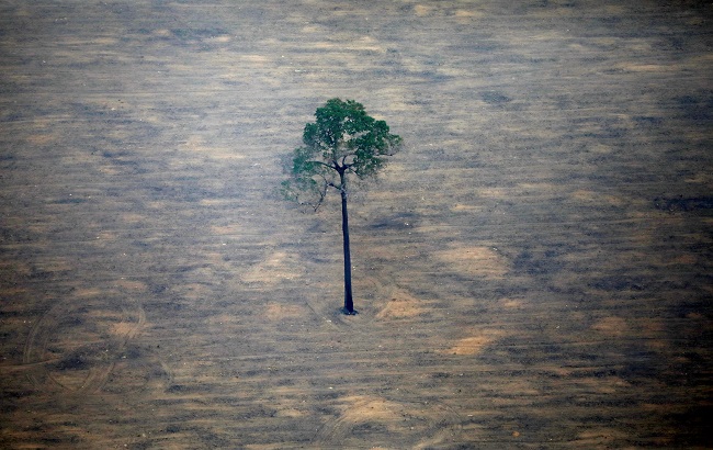 An aerial view shows a deforested plot of the Amazon near Porto Velho, Rondonia State, Brazil, September 17, 2019.