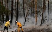 “Los incendios seguirán en los próximos meses ”, advirtió el primer ministro Scott Morrison. 