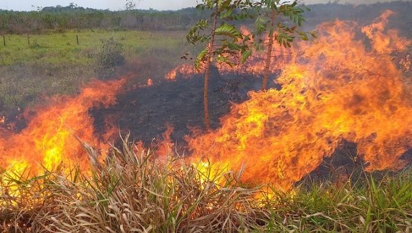 Fire burns by the side of the road between Porto Velho and Humaita in Brazil's Amazonas state, Sep. 5, 2019.