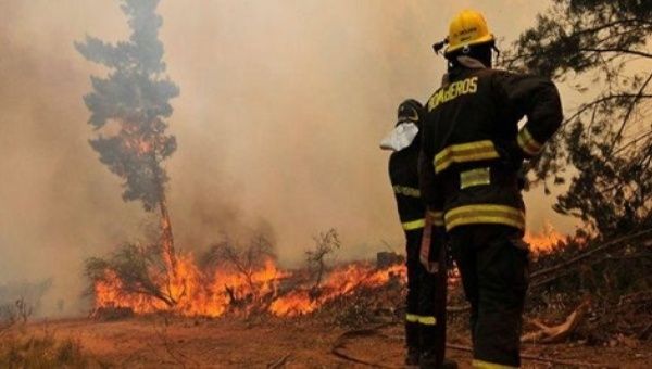 Chilean authorities confirmed that at the moment, five forest fires are active in the Araucania region.