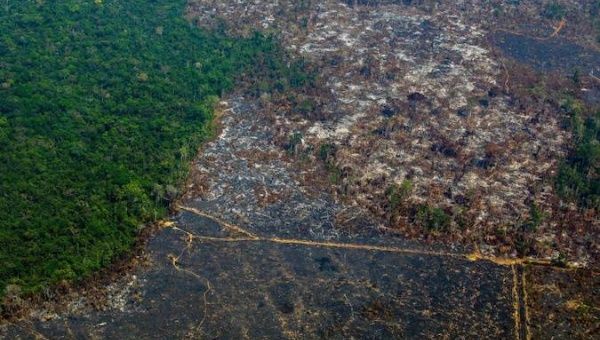 Aerial view of the deforestation of the Amazon.