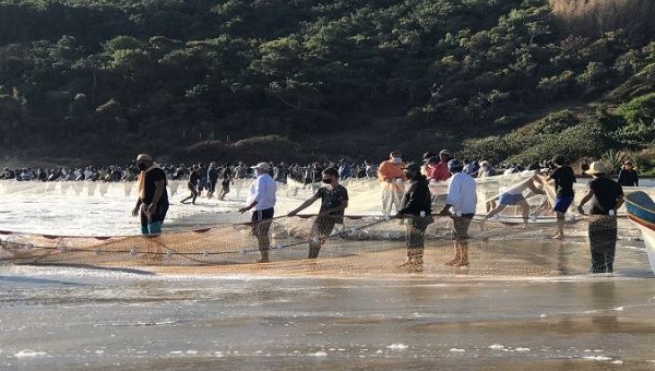 Fishermen in Pinheira Beach in Saint Catarina, Brazil. June 3, 2020.