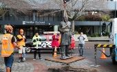 John Hamilton statue removal, Hamilton City, New Zealand, June 12, 2020.