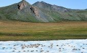 The coastal plain of the ANWR is estimated to have  7.7 billion barrels of oil.