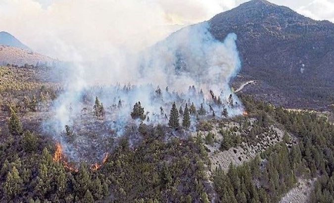 Forest fire in El Bolson city, Bariloche, Argentina, Feb. 3, 2021.
