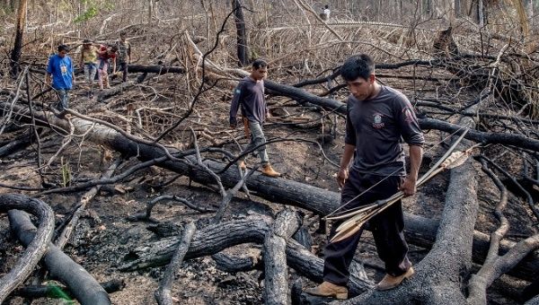 In Brazil, deforestation increased by 150 percent in Indigenous territories between and 2016 and 2018.