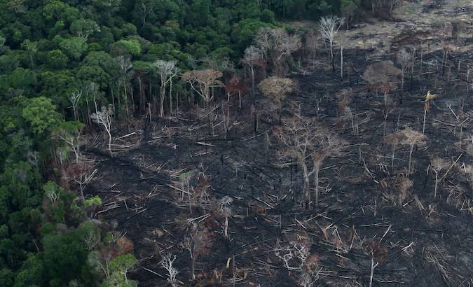 Burned and felled trees in the Amazon, Brazil.