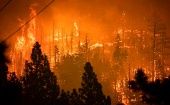 La región oeste de EE.UU., enfrenta una de las peores temporadas de incendios con más de 7.000 kilómetros cuadrados destruidos hasta agosto.