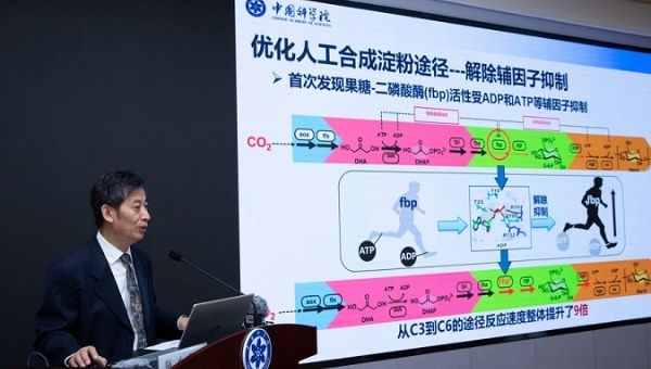 Ma Yanhe, Director General of the Tianjin Institute of Industrial Biotechnology, Sept. 23, 2021. 