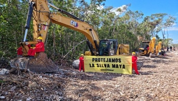 Activists from Greenpeace tied to heavy machinery to stop the construction of the Quintana Roo section of the Maya Train railroad. Mar. 28, 2022.
