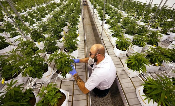 A marijuana farm in Grandview, Missouri, U.S., Oct. 31, 2022.