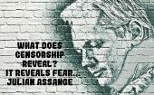 A portrait of Julian Assange.