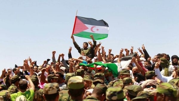 A Polisario liberation front member holds the Saharawi flag. 
