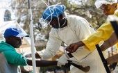 A health assistant administers an intravenous drip on a cholera patient, Malawi. 