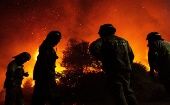 Los incendios forestales han alcanzado características preocupantes en varias comunas y zonas pobladas de la regiones de Biobío y La Araucanía.